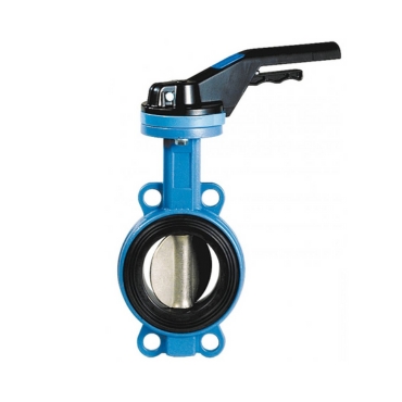 Ductile Iron Butterfly Valve Disc