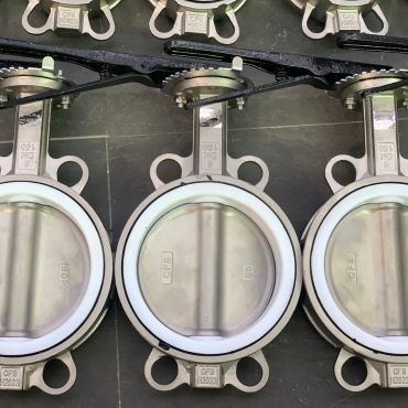 Normal Size Butterfly Valves